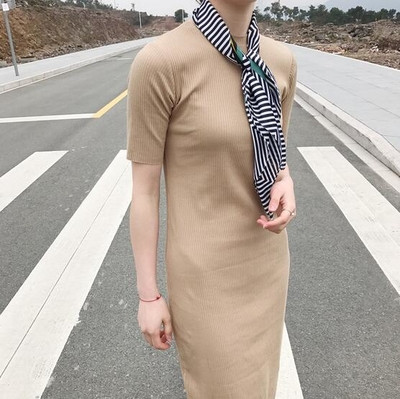 Μια μεγάλη καθημερινή κυρίες φόρεμα