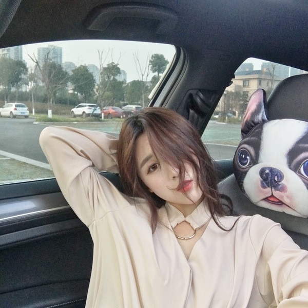 Κομψή γυναικεία μεταξωτό πουκάμισο με μακριά μανίκια σε δύο χρώματα