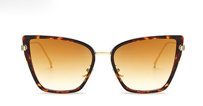 Fancy κυρίες γυαλιά ηλίου - διαφορετικά χρώματα