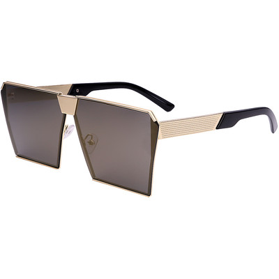 Πολωμένο γυαλιά ηλίου unisex