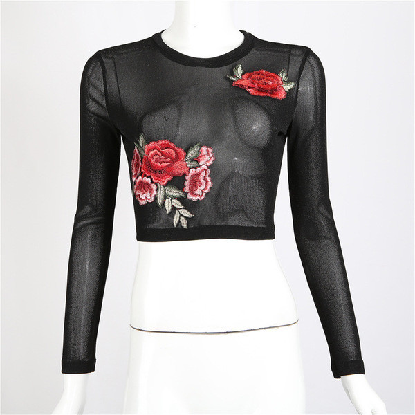 Μεγάλη καθαρή μπλούζα δαντέλα με μακριά μανίκια και όμορφα κεντήματα