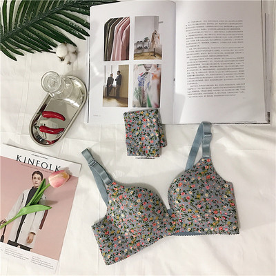 Διάφορα είδη κυρίες σουτιέν - 10 μοντέλα