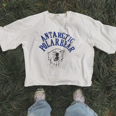 Ευρεία κυρίες T-shirt και εικονογράφησης - Πολική αρκούδα