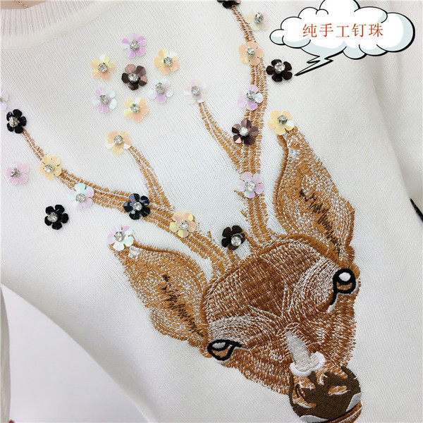 Γυναικείο  πουλόβερ σε διάφορες εικόνες και διακόσμηση