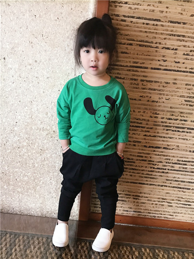 Παιδική μπλούζα για κορίτσια σε τρία χρώματα με εικόνα κατάλληλη για τη καθημερινή ζωή