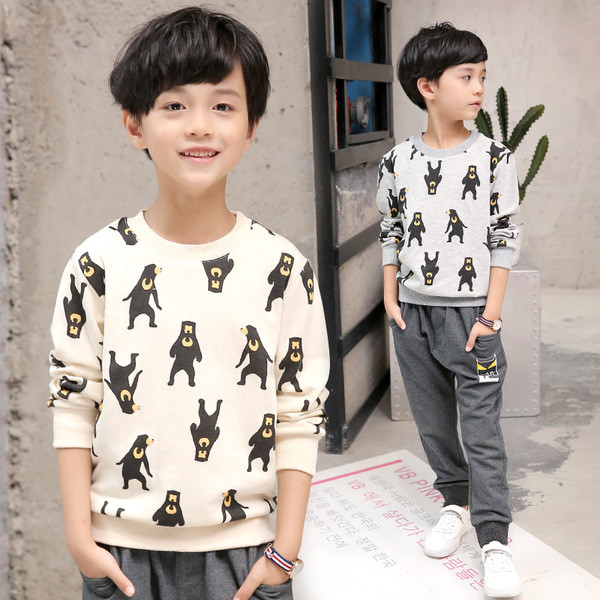 Παιδική  μπλούζα για το φθινοπώρο για αγόρια με διακοσμητικές εικόνες, σε δύο χρώματα