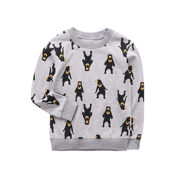 Παιδική  μπλούζα για το φθινοπώρο για αγόρια με διακοσμητικές εικόνες, σε δύο χρώματα