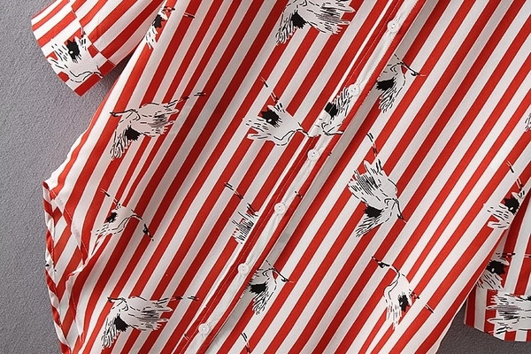 Μακρύ καθημερινό πουκάμισο γυναικείο με ριγωτές εικόνες