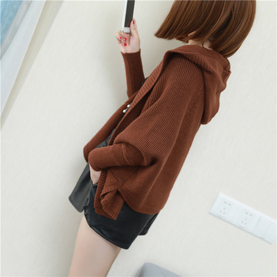 Γυναικείο φθινόπωρο με κουκούλα γιλέκο