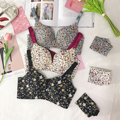 Διάφορα είδη κυρίες σουτιέν - 10 μοντέλα