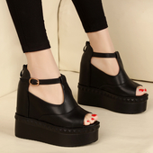 Μοντέρνο και πολύ άνετα κυρίες σανδάλια υψηλής πλατφόρμα με κούμπωμα γύρω από τον αστράγαλο