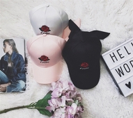 Μεγάλη κυρίες καπελάκια του μπέιζμπολ με πολύ ενδιαφέρον κεντημένα τριαντάφυλλα