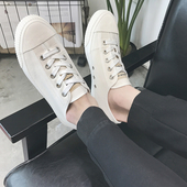 Κομψά πάνινα παπούτσια για άνδρες σε τρία χρώματα