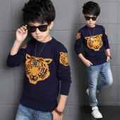 Κομψό πουλόβερ για αγόρια με εικόνα τίγρης