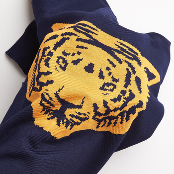 Κομψό πουλόβερ για αγόρια με εικόνα τίγρης