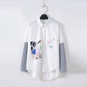 Ένα ενδιαφέρον γυναικείο πουκάμισο για το φθινοπωρινό με λωρίδα και μανίκια